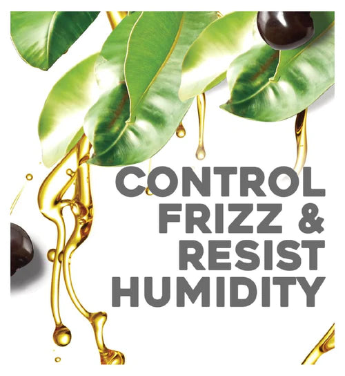 OGX Hydrate & Defrizz+ Kukui Oil Shampoo - 385 ml